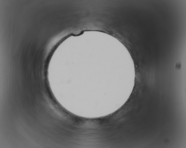 X0000115760248200912241735