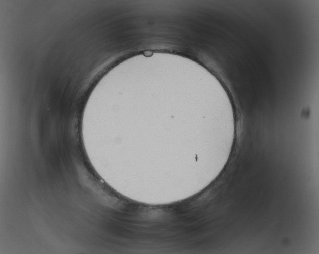 X0000115760249200912241735
