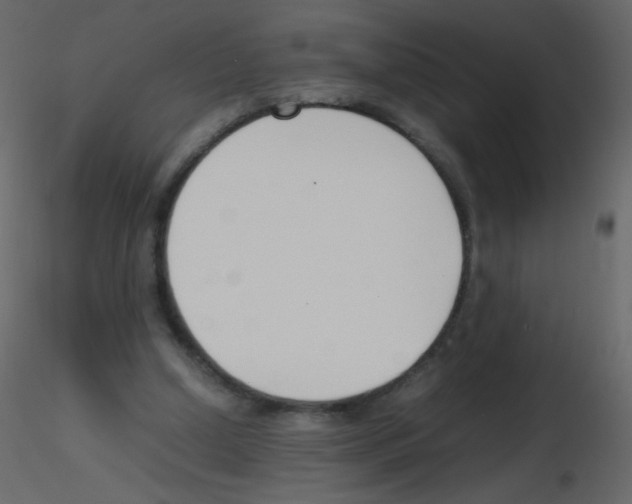 X0000115760250200912241735