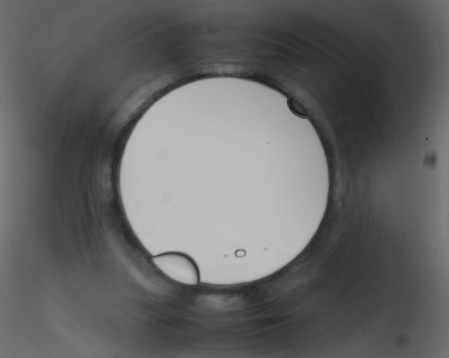 X0000115760251200912241735