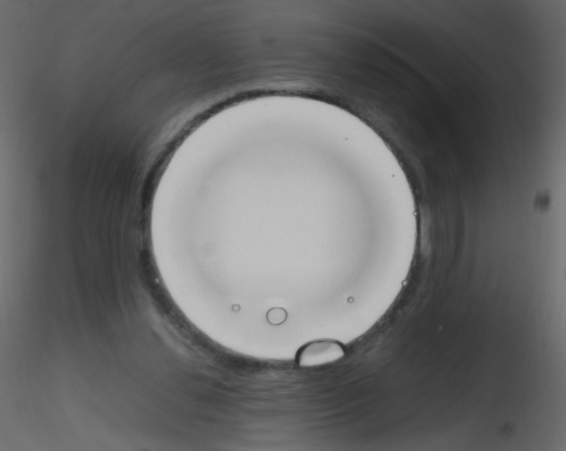 X0000115760252200912241735