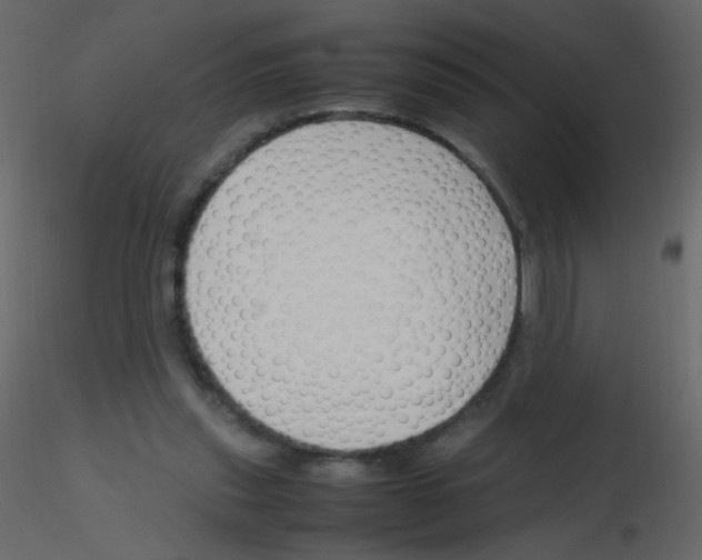 X0000115760253200912241735