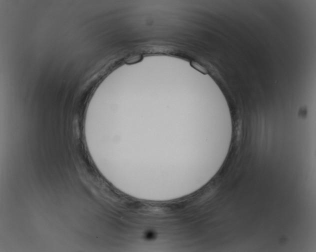 X0000115760254200912241735
