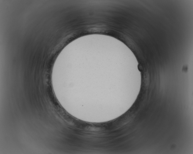 X0000115760255200912241735