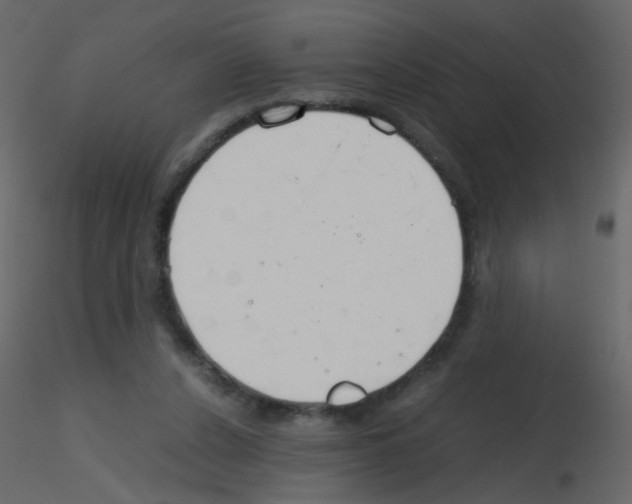 X0000115760256200912241735