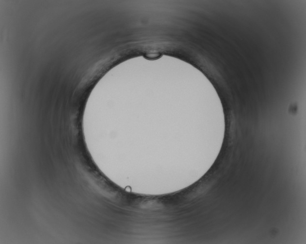 X0000115760258200912241735