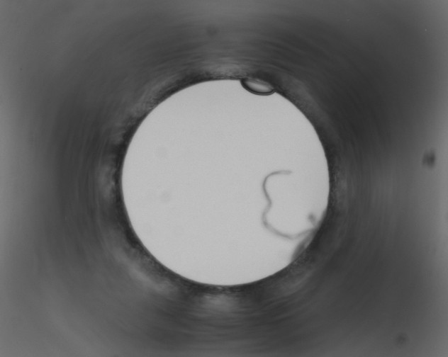X0000115760259200912241735