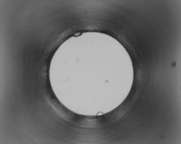 X0000115760260200912241735