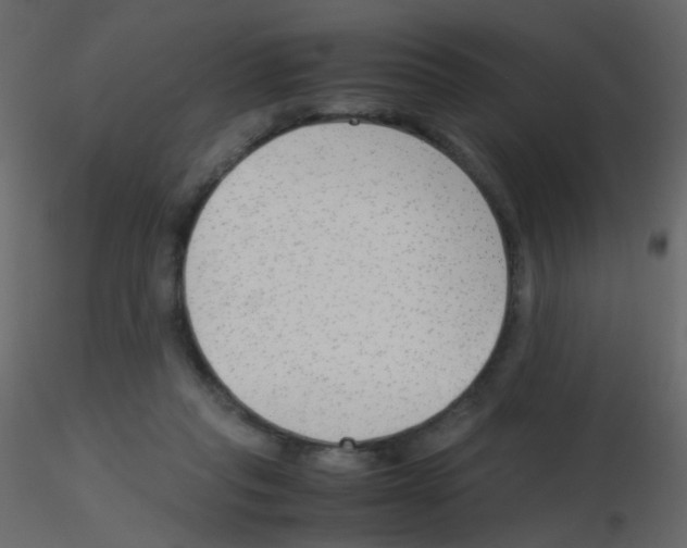 X0000115760261200912241735