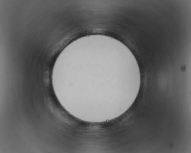 X0000115760262200912241735