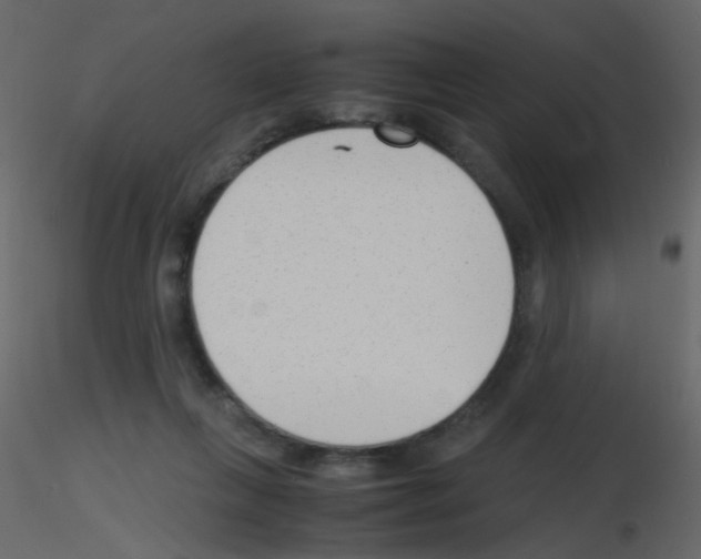 X0000115760263200912241735