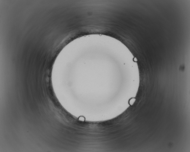 X0000115760264200912241735