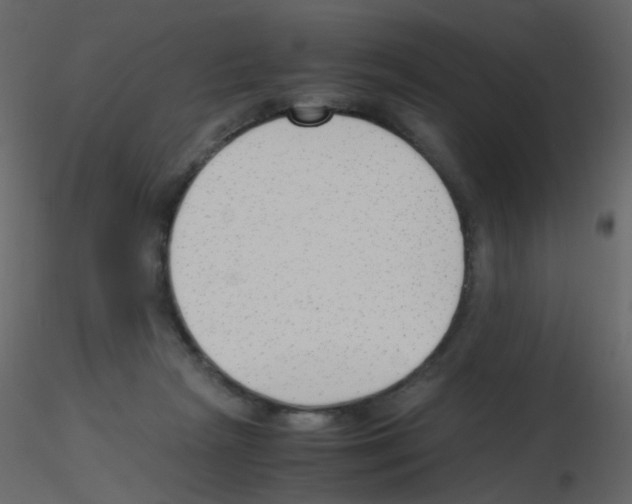 X0000115760265200912241735