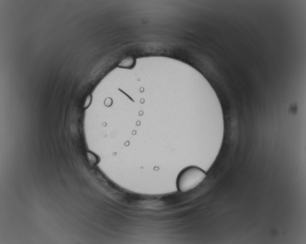 X0000115760266200912241735