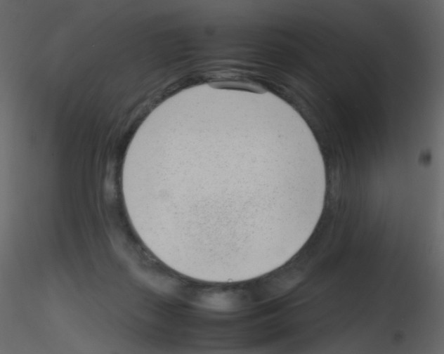 X0000115760267200912241735