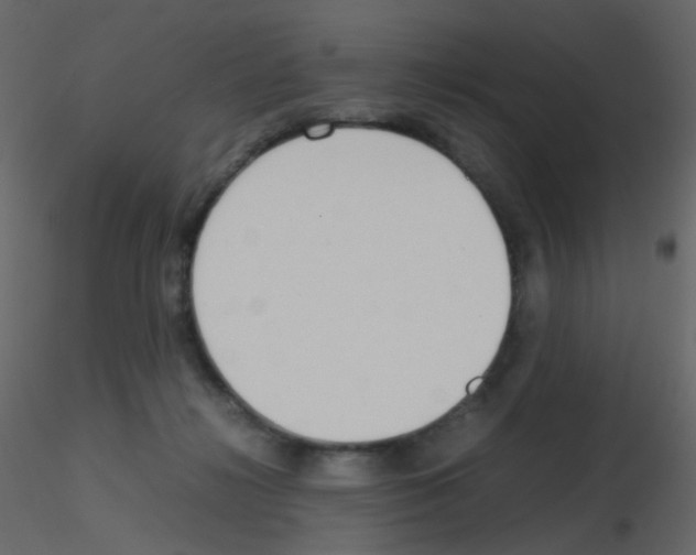 X0000115760268200912241735