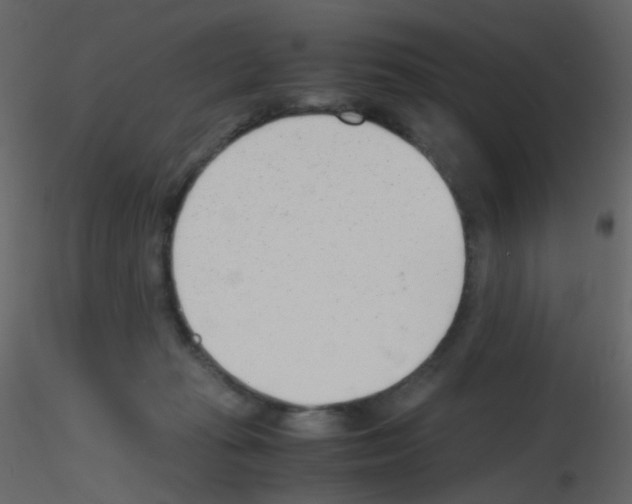 X0000115760269200912241735