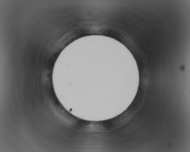 X0000115760270200912241735