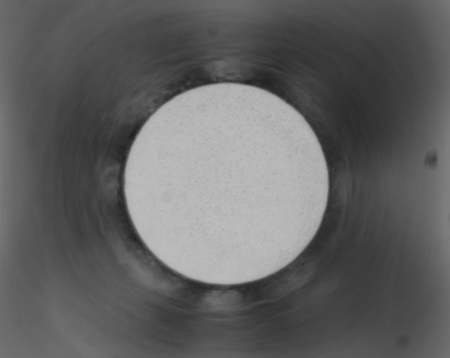 X0000115760271200912241735