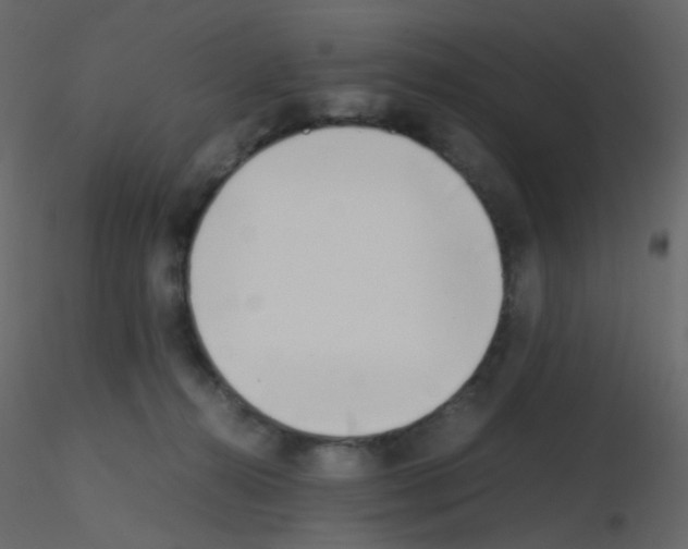 X0000115760272200912241735