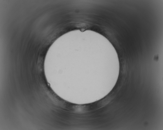 X0000115760273200912241735