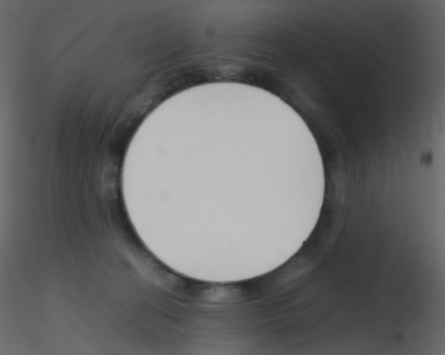 X0000115760274200912241735