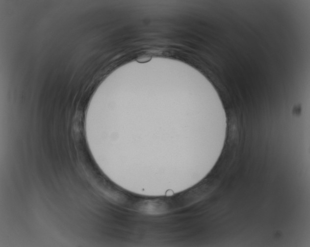 X0000115760275200912241735