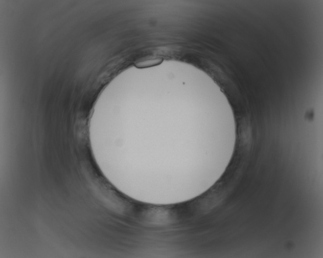 X0000115760276200912241735