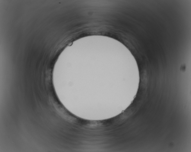 X0000115760278200912241735