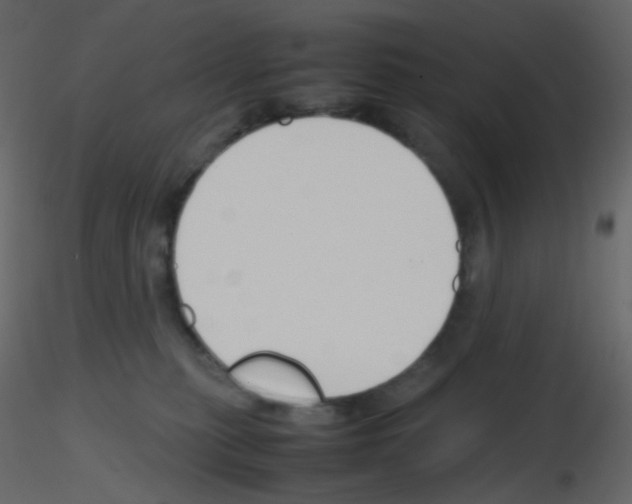 X0000115760279200912241735