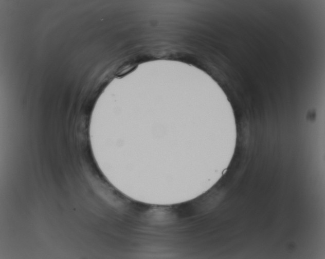 X0000115760280200912241735