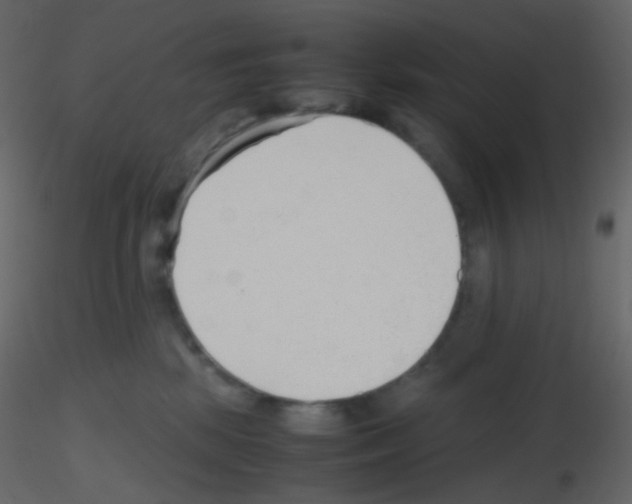 X0000115760281200912241735