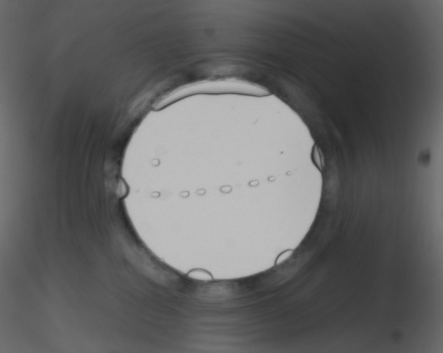 X0000115760282200912241735
