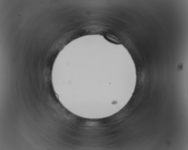 X0000115760283200912241735