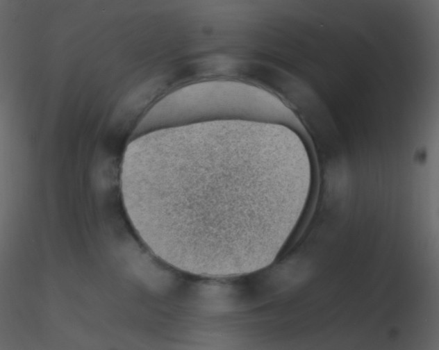 X0000115760284200912241735