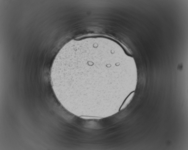 X0000115760285200912241735
