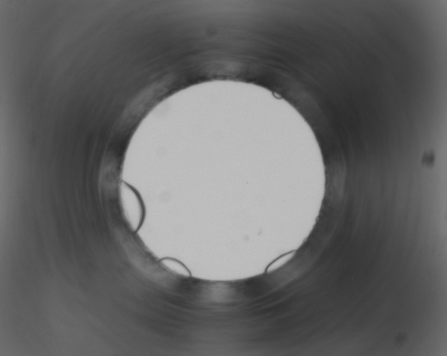 X0000115760287200912241735