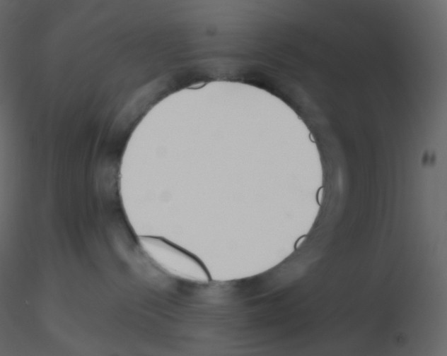 X0000115760288200912241735