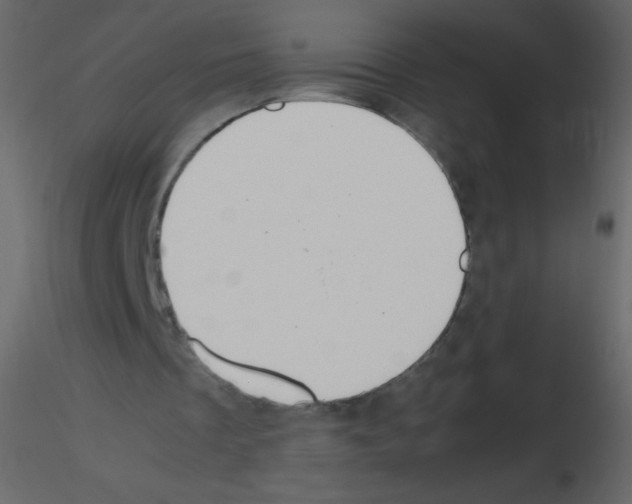 X0000115760289200912241735