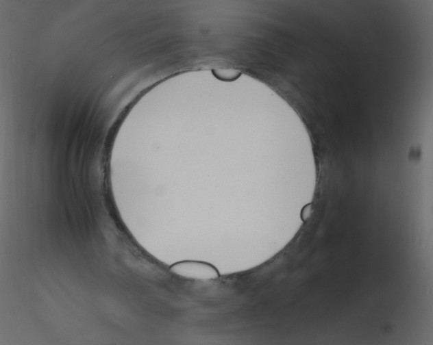 X0000115760290200912241735