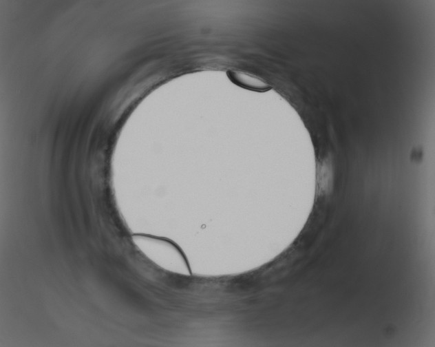X0000115760291200912241735