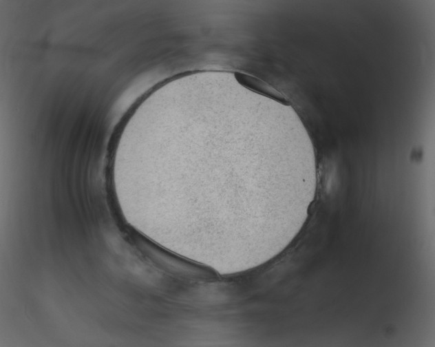 X0000115760292200912241735