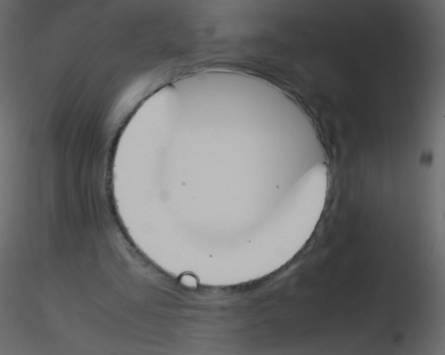 X0000115760293200912241735