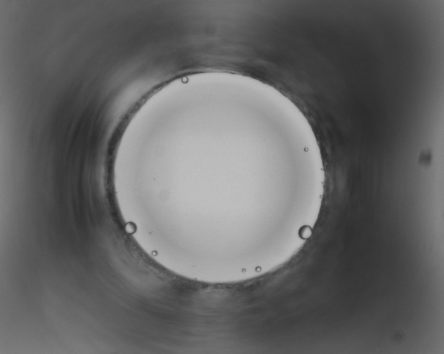 X0000115760294200912241735