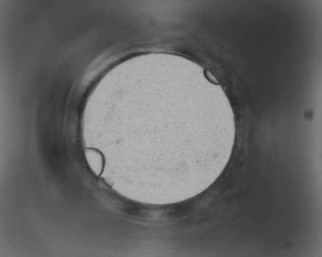 X0000115760295200912241734