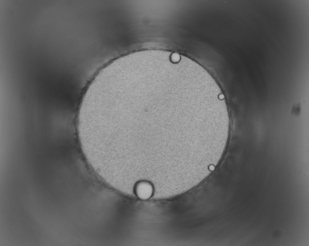 X0000115760297200912241734