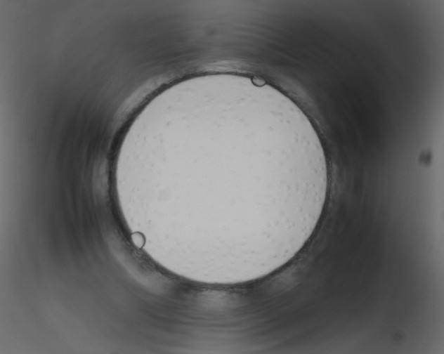 X0000115760298200912241734