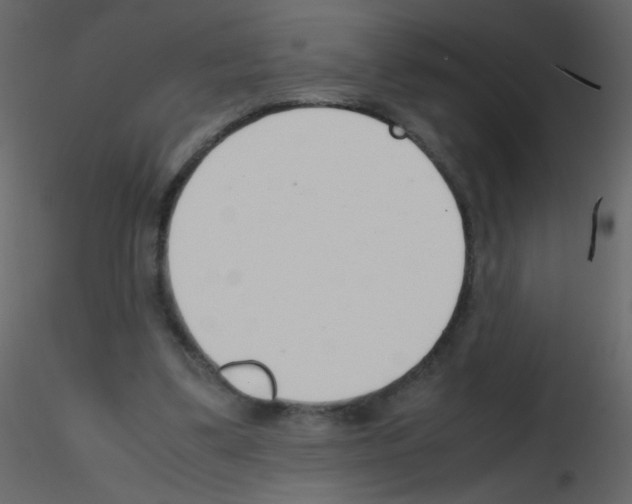 X0000115760299200912241734