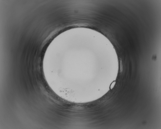 X0000115760300200912241734