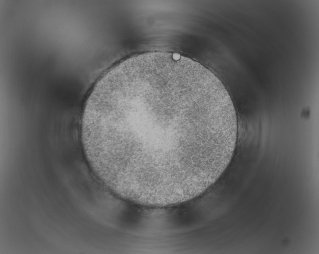 X0000115760301200912241734